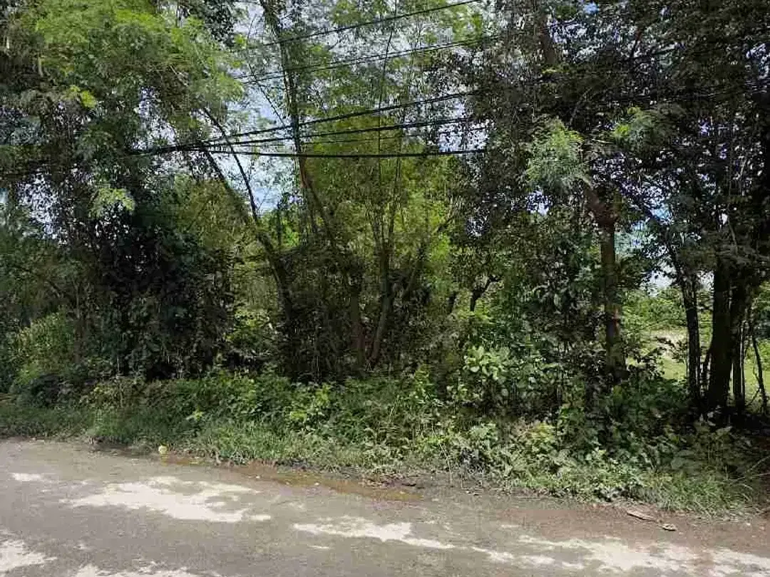 Dijual Tanah 378m2 Jl Utama Melangkata Kutuh Bali - Image 4 of 6