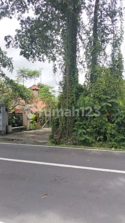 Tanah Bagus Pinggir Jalan Cocok Untuk Usaha Dan Komplex Villa - Image 3 of 4