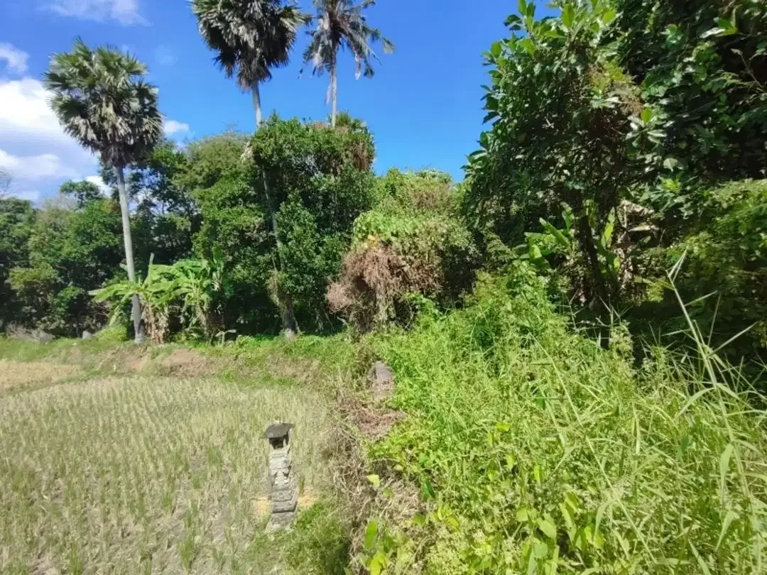 Tanah Dijual Cepat Dekat Pantai Yeh Gangga - Image 8 of 10