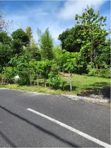Tanah Murah 1 Hektar Dekat Pantai Ungasan - Image 2 of 10
