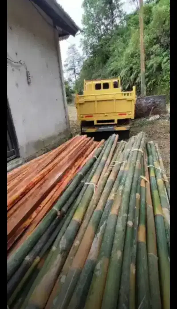 Dijual Kayu Lokal bali - Image 3 of 4
