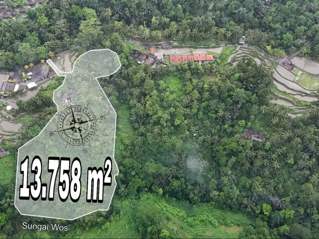 Tanah 1,3 Hektar View Sawah dan Jungle Dekat Rice Terrace Ubud - Image 2 of 10