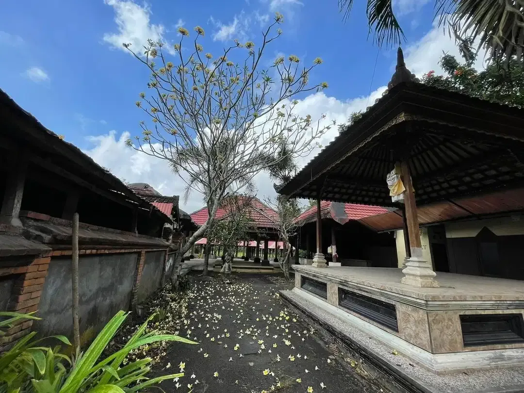 Tanah Bonus Bangunan Mas Lokasi Ubud - Image 8 of 10