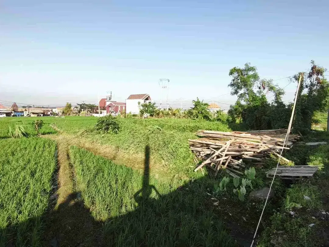 Tanah strategis dekat dengan pantai lima - Image 6 of 8