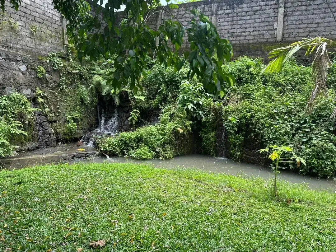 Tanah Istimewa di Kerobokan Badung Bali - Image 7 of 10