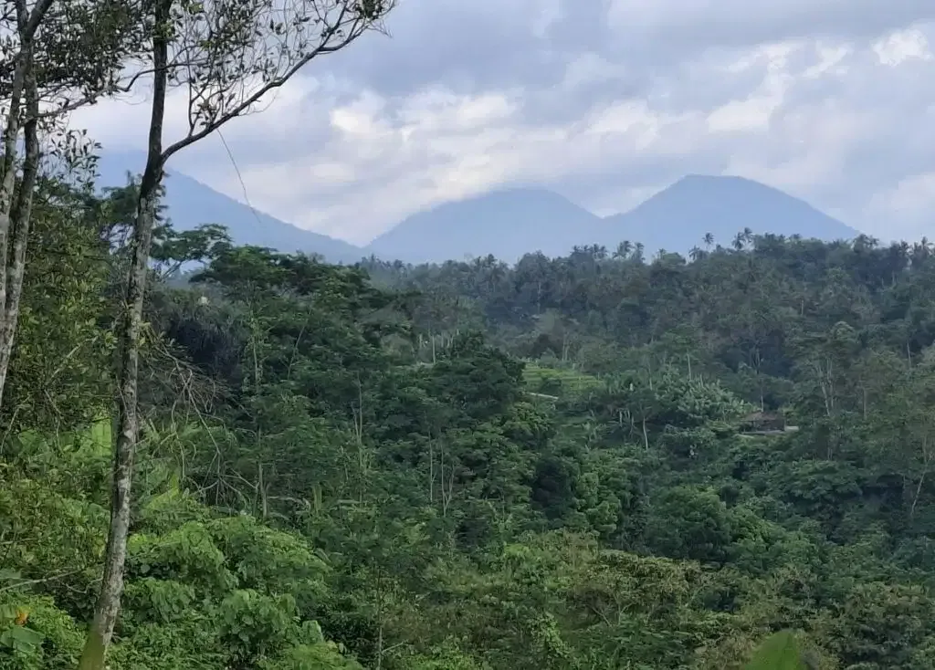 Dijual tanah los sungai besar dan view air terjun, gunung dan sawah - Image 3 of 10