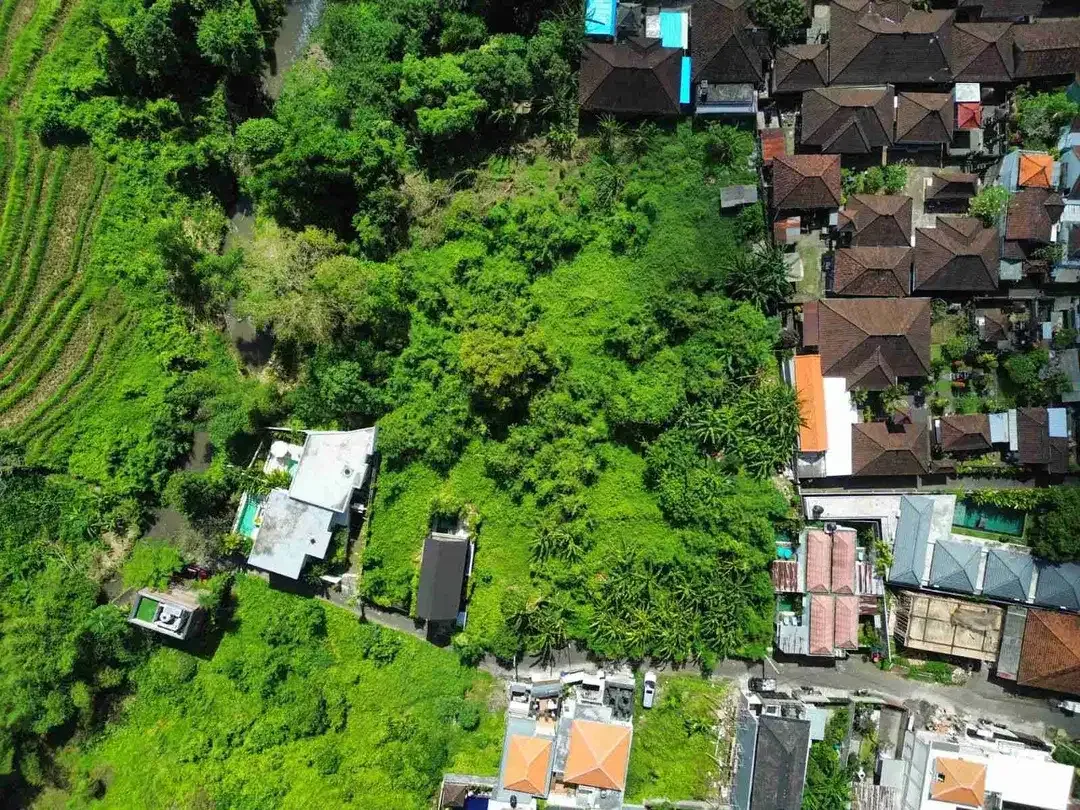 Land for Lease with Rice Field Views in Buduk - Image 9 of 9