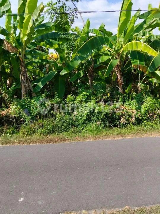 Tanah Strategis Pinggir Jalan Dekat Pantai Lovina Singaraja - Image 3 of 4