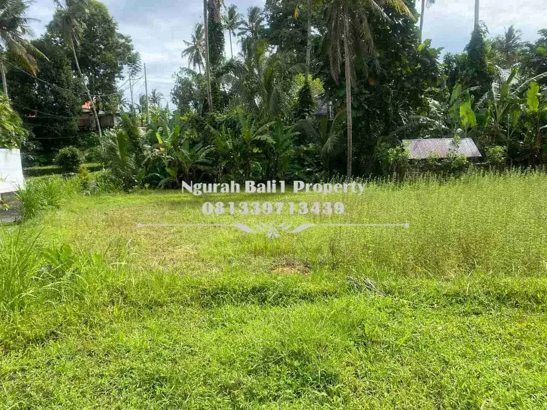 Dijual Tanah Murah Luas 10 Are di Br Tunon Ubud - Image 4 of 4