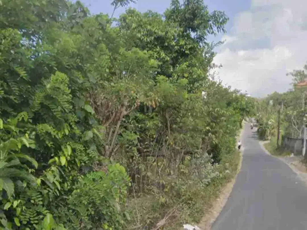 Land For Leasehold in Main Road Langui Ungasan Bali - Image 3 of 3