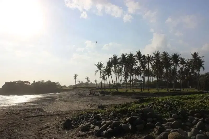 JUAL TANAH LUAS LOS PANTAI BERABAN TABANAN BALI - Image 8 of 10