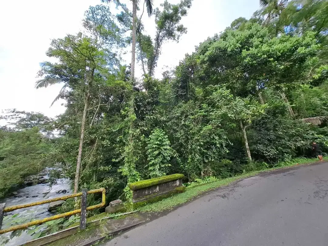 Dijual tanah kecil los sungai besar di tabanan bali - Image 6 of 8