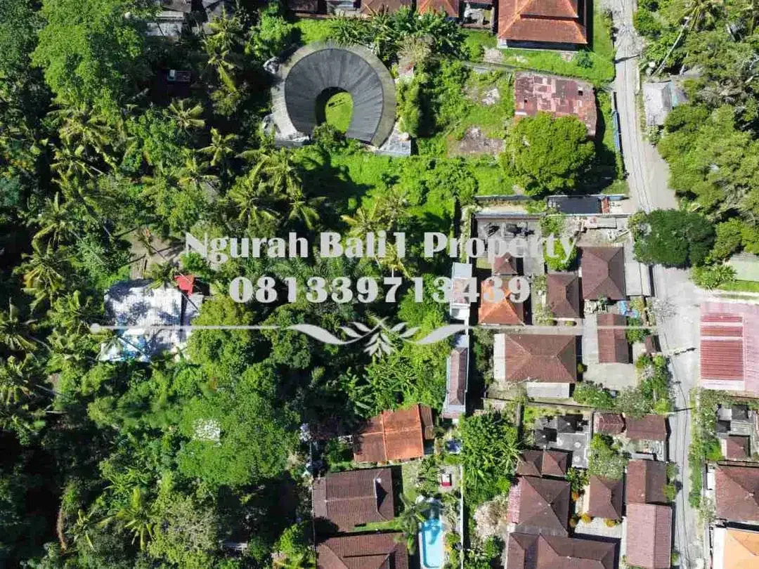 Tanah Premium Disewakan Luas 16,35 Are Kawasan Villa Lokasi Deket Pelangi School Ubud - Image 3 of 8