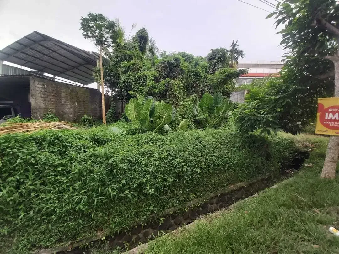 Tanah Zona Kuning di Jalan Utama Denpasar Gilimanuk dekat Astra Megati - Image 2 of 4