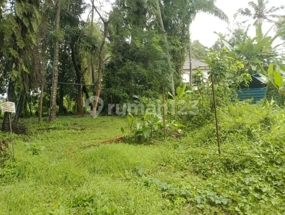 Tanah Kavling Zona Kuning Strategis Dkt Jembatan Nyuh Kuning Ubud - Image 4 of 4