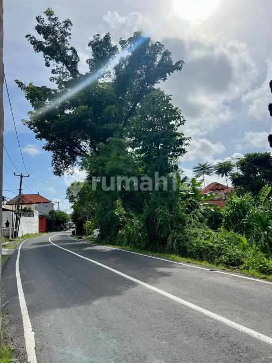 Tanah 15 Are Jalan Utama Pererenan Badung - Image 2 of 4