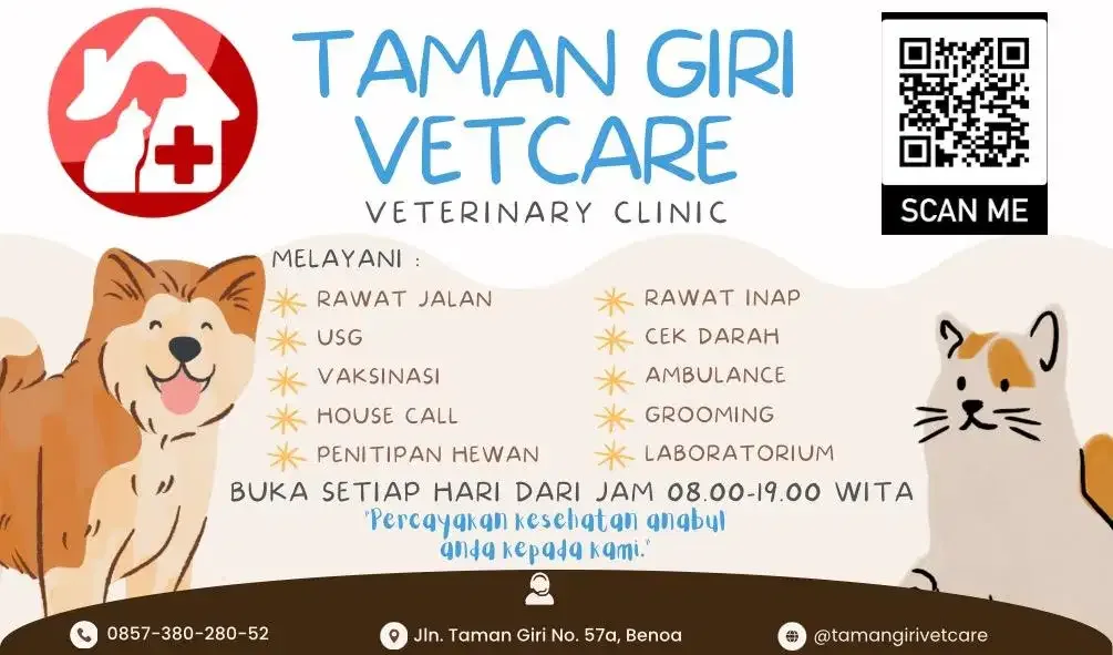Dokter hewan bisa panggilan ke rumah dan ambulan di jimbaran nusa dua - Image 1 of 1