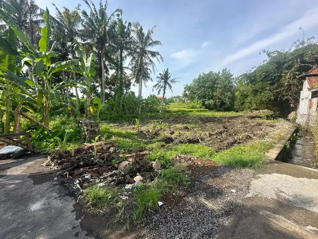 Freehold - Startegic and in By Pass Tanah Lot - Image 6 of 8