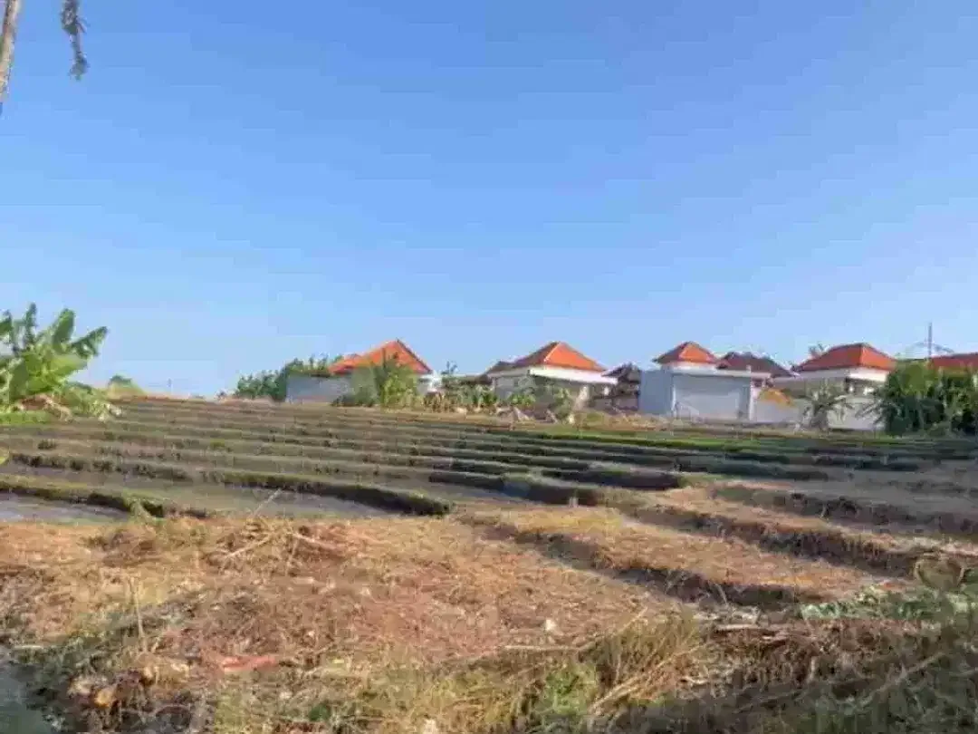 TANAH MURAH 4,5 ARE Lebar 22m JLN UTAMA SUBAK DAKSINA CANGGU YELLOW ZONE SHM 1,150M/ARE - Image 3 of 10