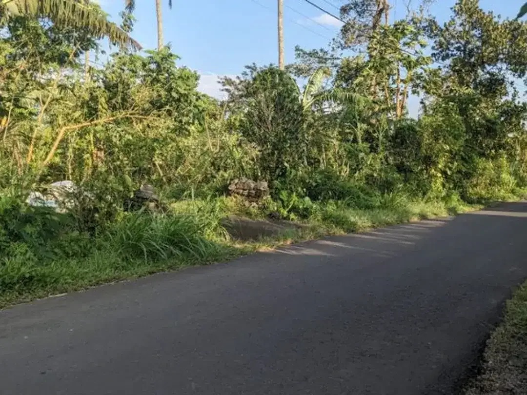 TANAH LOKASI STRATEGIS DI JATILUWIH TABANAN - Image 4 of 5