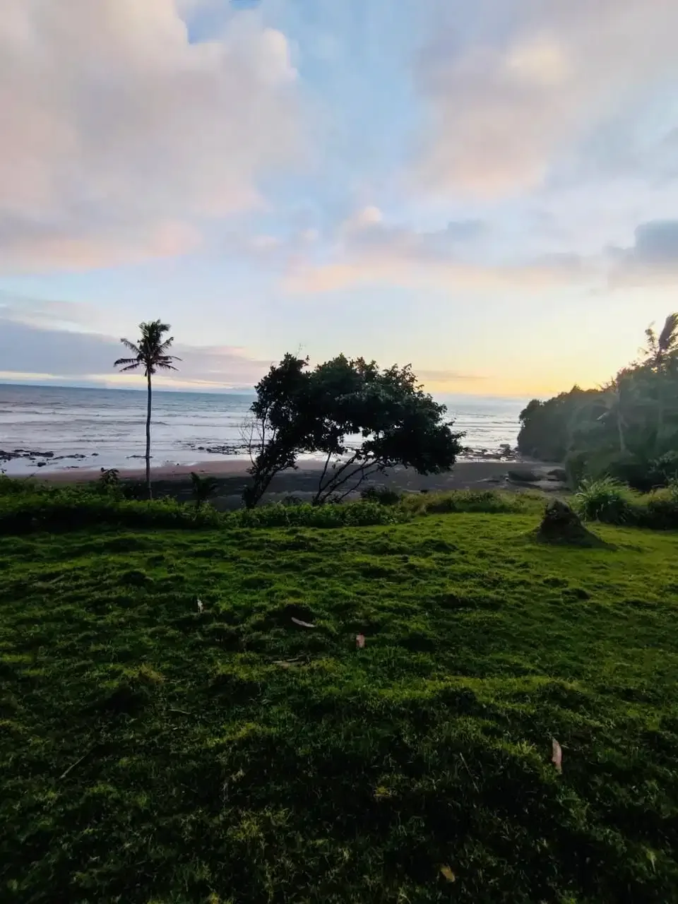 Tanah beach front pantai bonian tabanan bali - Image 4 of 10