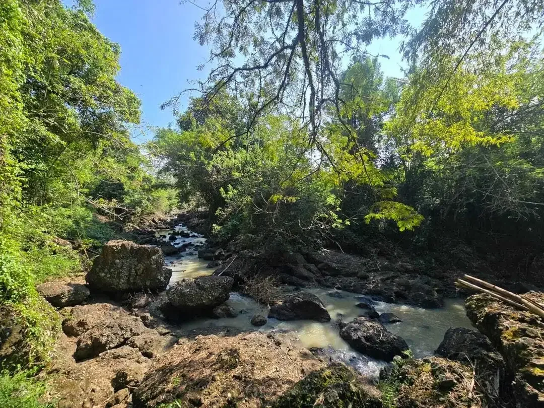 Dijual tanah los sungai luasin kecil di selemadeg - Image 2 of 9