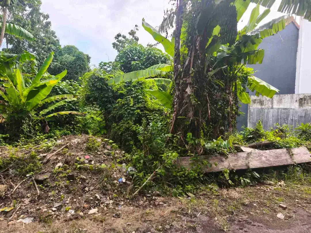 dijual tanah 4 are dekat Pepito taman griya Jimbaran Kuta Selatan Badung Bali - Image 7 of 7