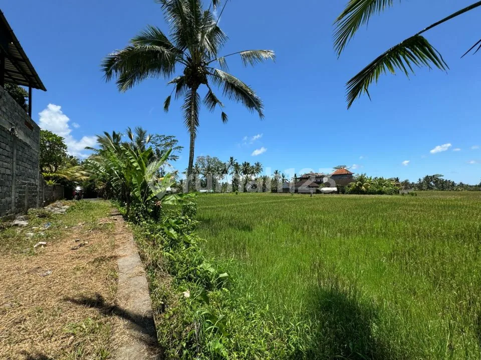 Dijual Lahan Los Sungai Lokasi Ubud View Sawah Sungai Dan Jungle - Image 3 of 4