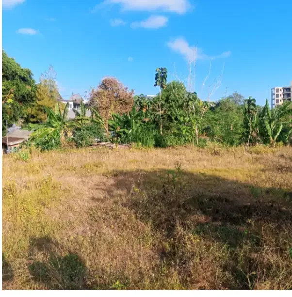 Land for Rent at Pecatu - Image 4 of 10