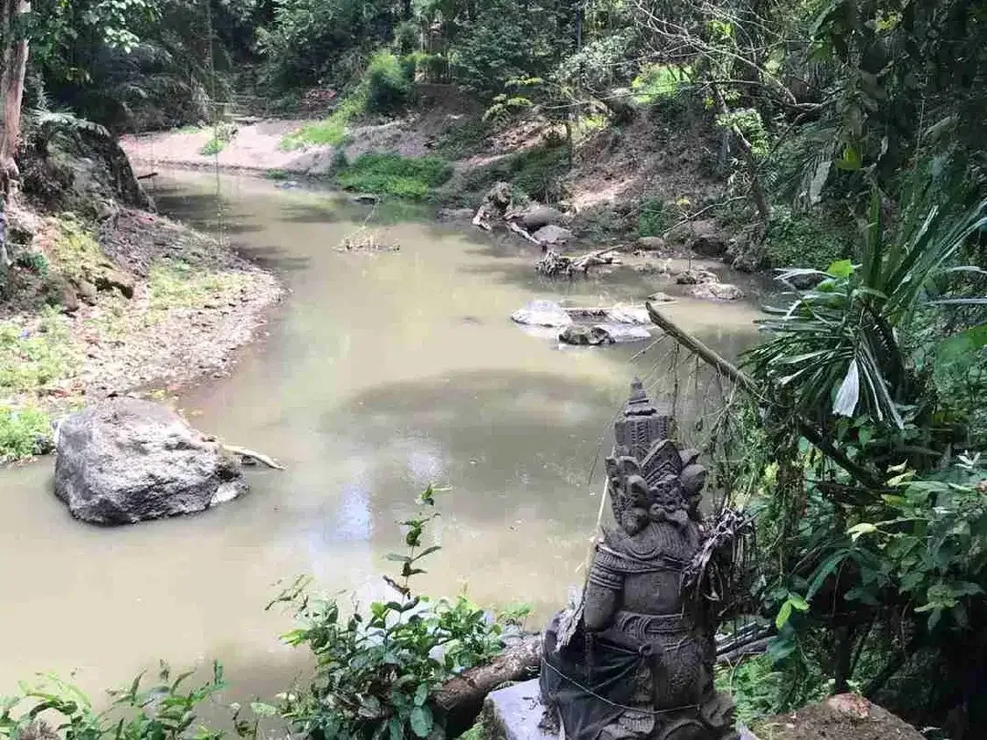 land in river side and jungle near canggu - Image 3 of 10