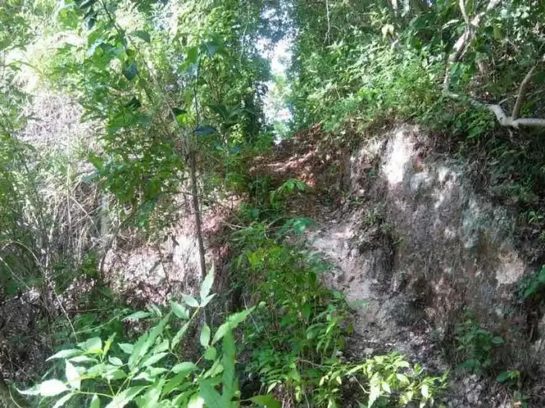 DIJUAL TANAH SANGAT STRATEGIS DAERAH PECATU BALI - Image 4 of 6
