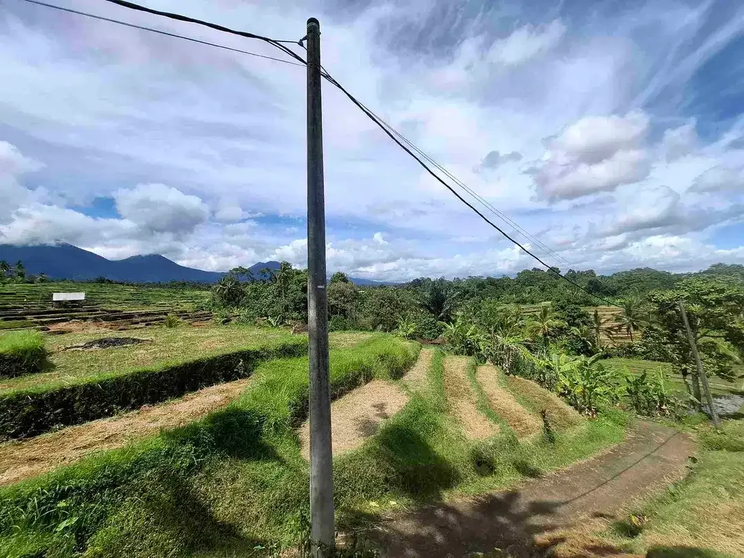 dijual tanah sawah view 5 gunung di bali - Image 3 of 10