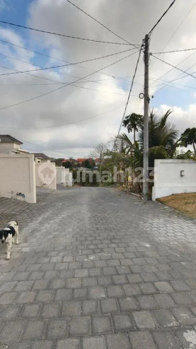 Dikontrakkan Villa Modern Minimalis di Kutuh Dekat Pandawa - Image 4 of 4