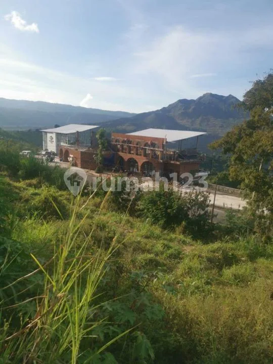 For Sale | Tanah View Danau dan Pegunungan Kintamani Bali - Image 4 of 4