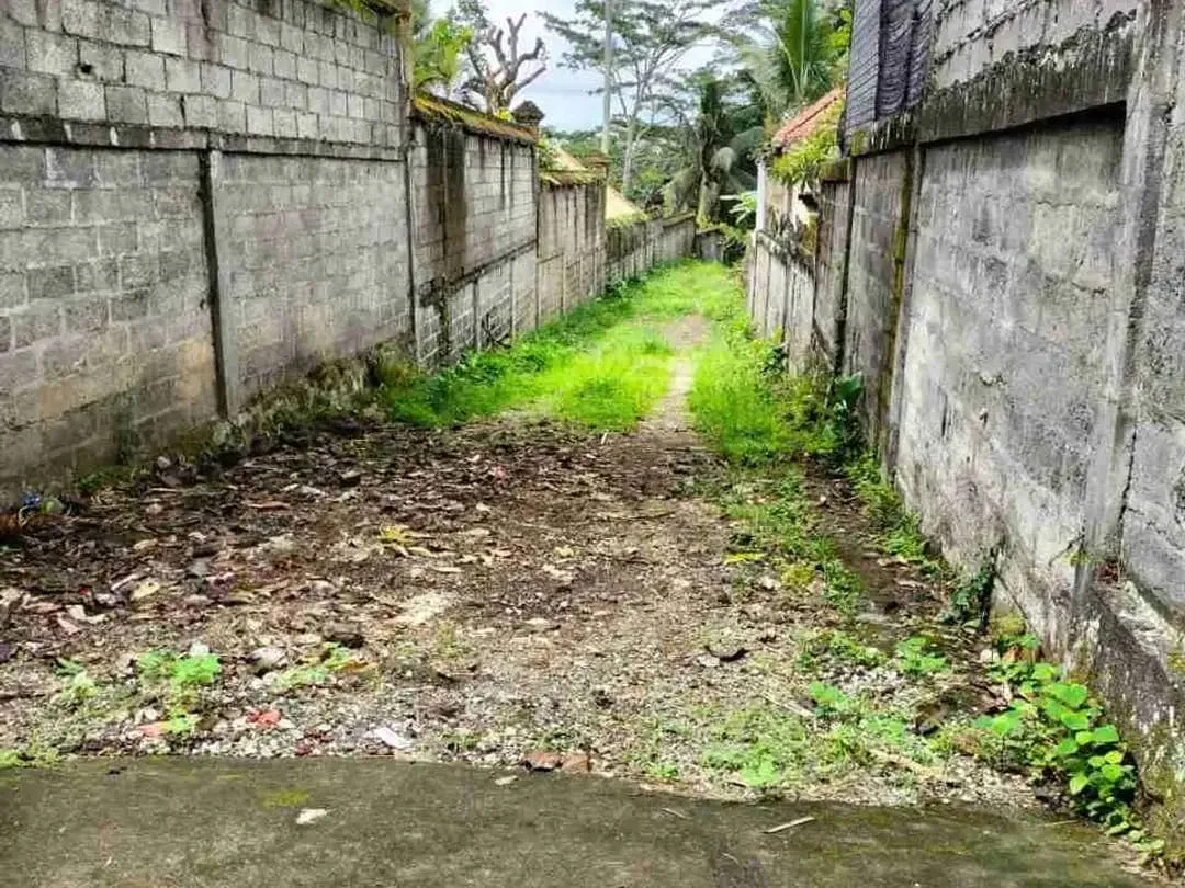 Tanah Komersial Los Sungai Ayung Dekat Mandapa Ubud - Image 6 of 10
