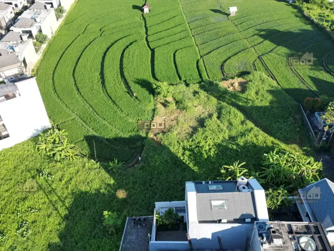 Dijual Tanah Freehold Zona Komersial – Berawa Canggu, Bali - Image 3 of 8
