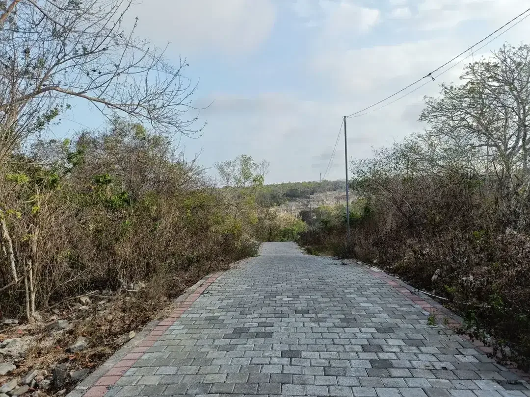 Disewakan Segera Tanah 6,8 Are Zona Pink/Pariwisata di Nusa Dua - Image 7 of 10