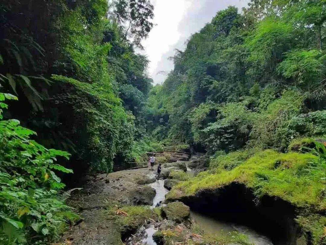 Lahan Langka indah plot kecil siangan gianyar SHM - Image 8 of 10