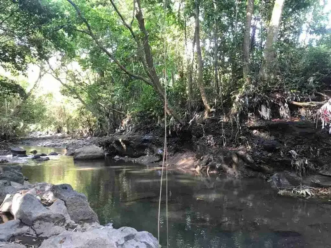 Tanah Los Sungai jalan Pantai Nyanyi Boleh Beli 1.036 m² - Image 1 of 10