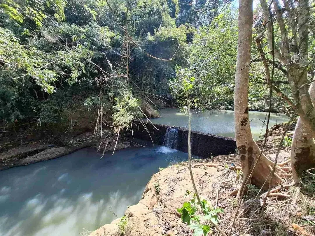 Dijual tanah kebun murah dengan sungau bebatuan murah di tabanan bali - Image 6 of 10