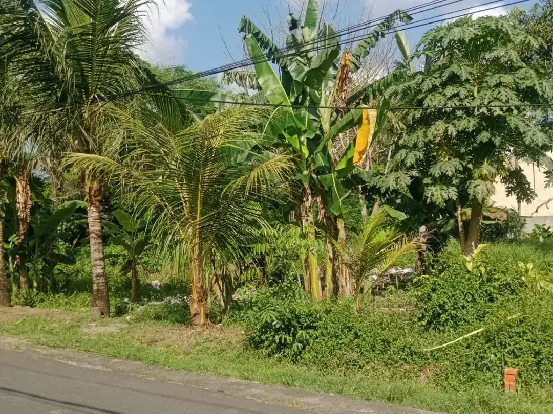 Strategic Land in Desa Wisata Kaba-Kaba For Sale - Image 4 of 10