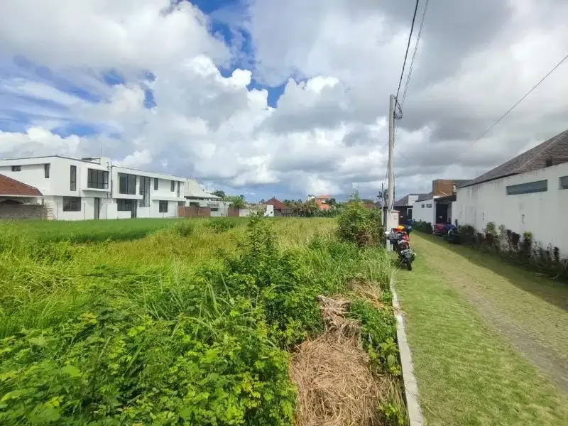 Tanah Raya Tegal Cupek Kerobokan Badung - Image 9 of 9
