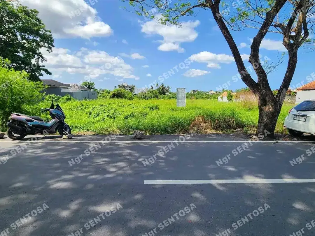 TANAH PERERENAN SESEH SUPER DEKAT PANTAI - Image 4 of 5