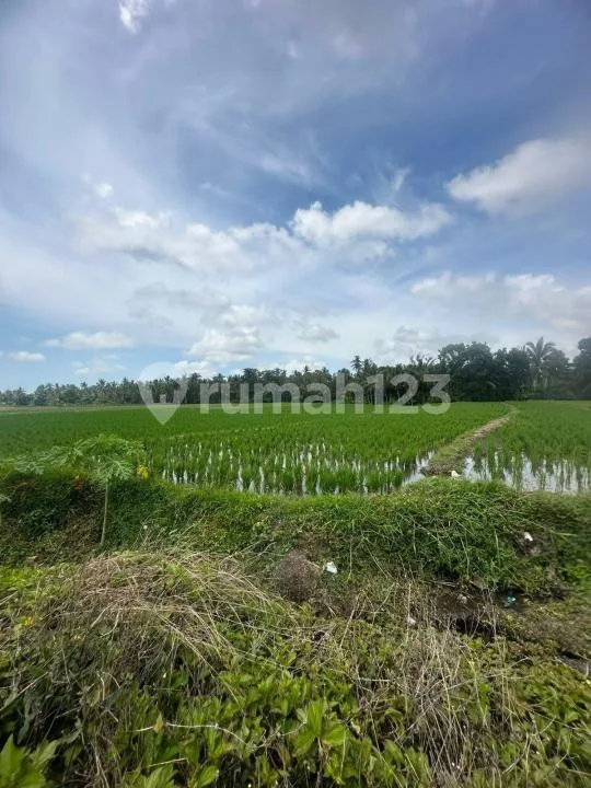 Tanah Dua Sekaligus Lokasi Strategis di Wanasari, Tabanan - Image 3 of 4