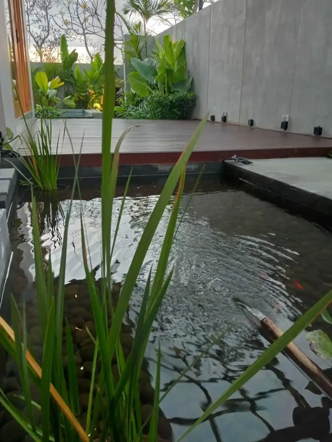 Villa Baru di Jimbaran,view Manggrove,daerah Tenang,strategis,shm - Image 4 of 10