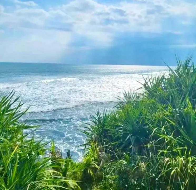 Tanah Langka Los Pantai Nyanyi Tabanan Bali - Image 4 of 4