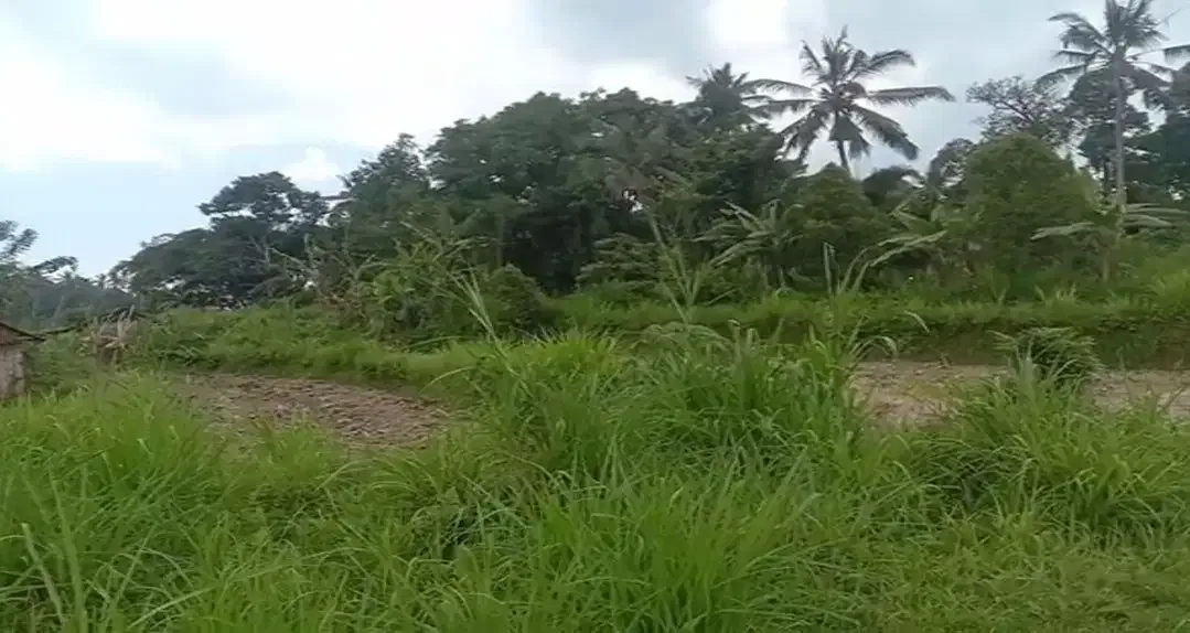 Land 36a for Sale close to Sidemen Traditional Village Bali - Image 5 of 10