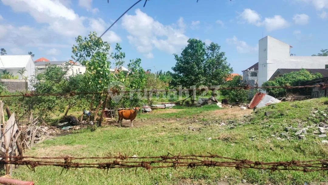 Dijual Tanah / Disewakan Tanah Lokasi Umalas Bumbak , Sangat Cocok untuk Komplex Vila atau Investasi - Image 4 of 4
