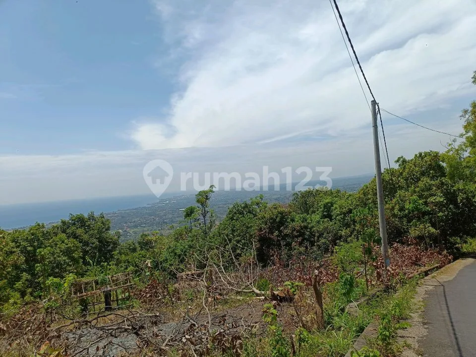 Buc For Sale Ocean View On Aspal Road Good For Villa - Image 4 of 4