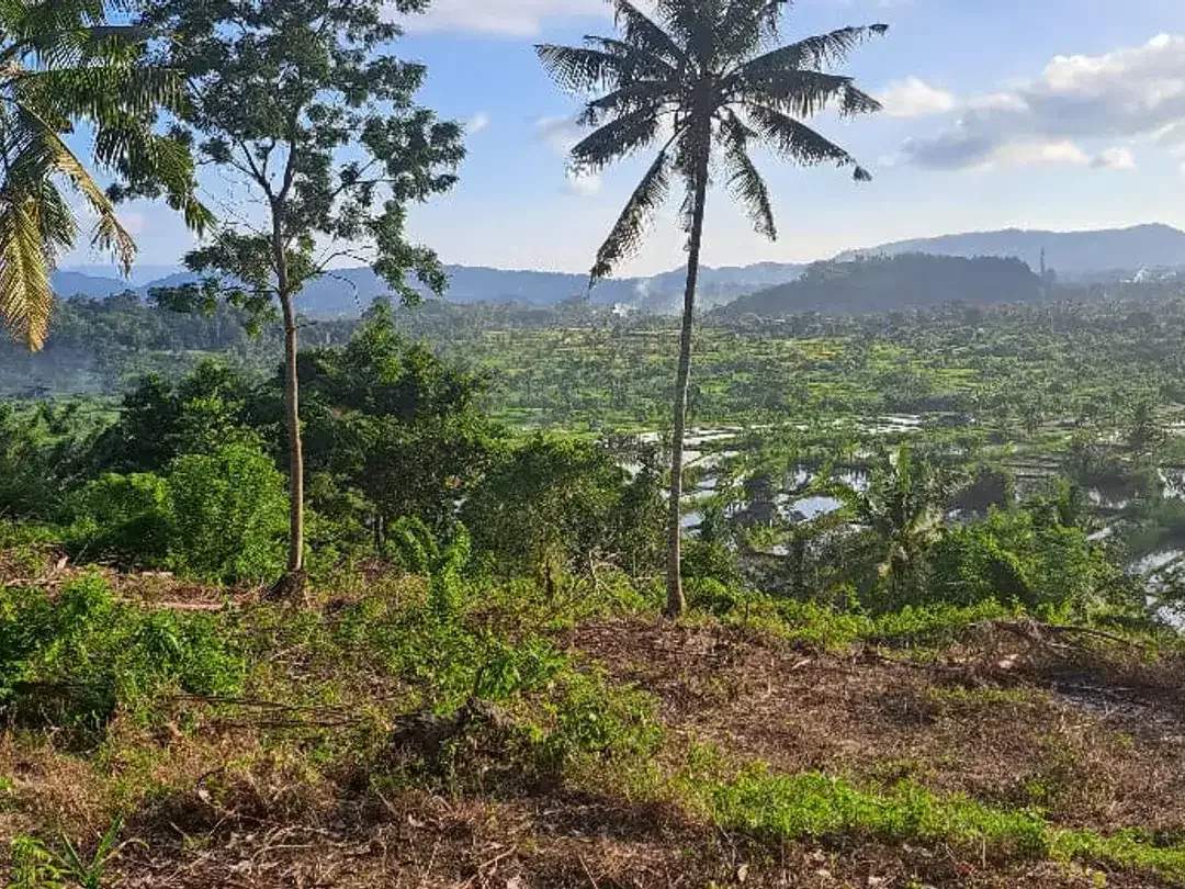 Leasehold view land Ababi Tirtagangga Karangasem - Image 2 of 4